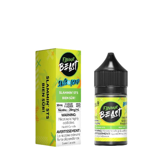 Flavour Beast Salt Nic